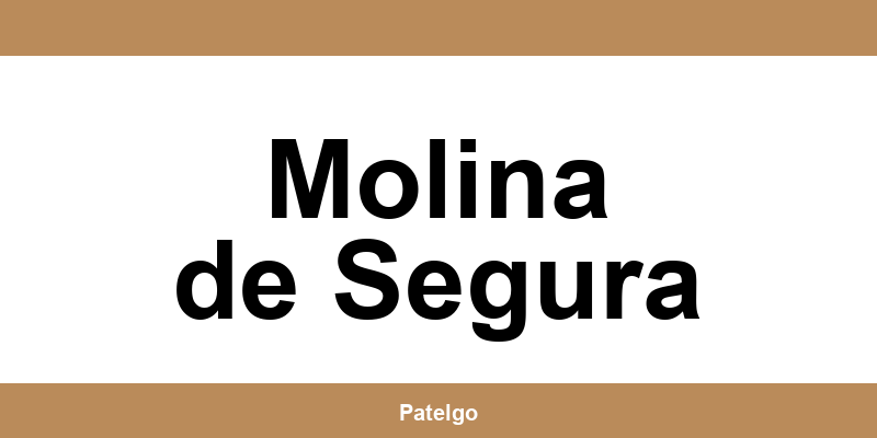 Teléfono directo del UPS Access Point en Molina de Segura